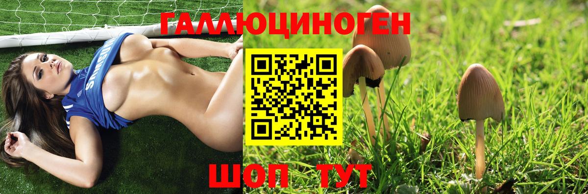 Псилоцибиновые грибы мухоморы  Вход с VPN  Котовск 